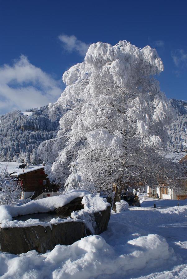 Ferien- Und Familienhotel Alpina Адельбоден Экстерьер фото