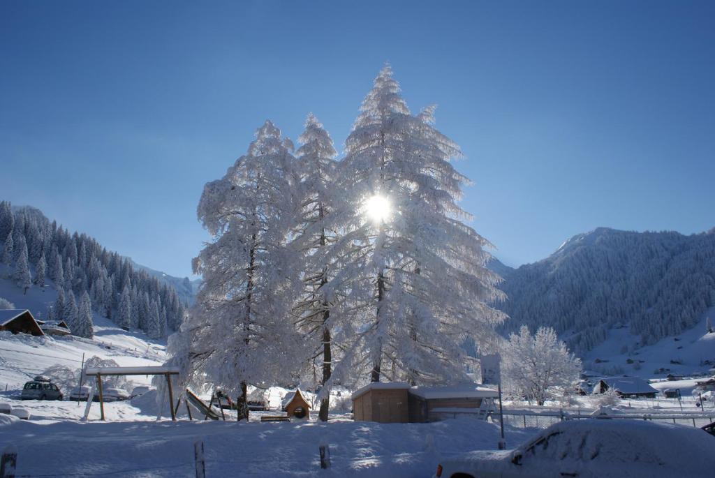 Ferien- Und Familienhotel Alpina Адельбоден Экстерьер фото